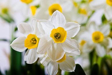 游戏产业模拟游戏《Let's Build a Dungeon》Steam页面开放 发行日期待定